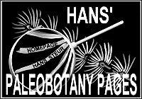 Fossiele planten