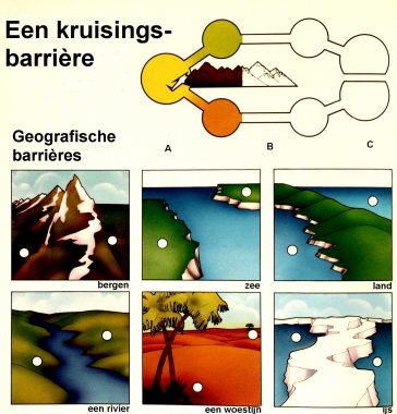 Soortvorming