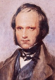Darwin