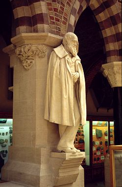 Darwin in Museum Oxford