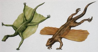 Dinosauri�rs met vleugels