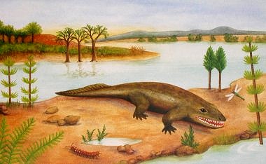 Ichthyostega