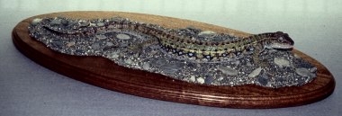 Lizzie the Lizzard