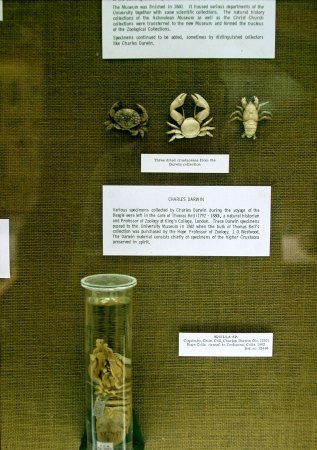 Darwincollectie