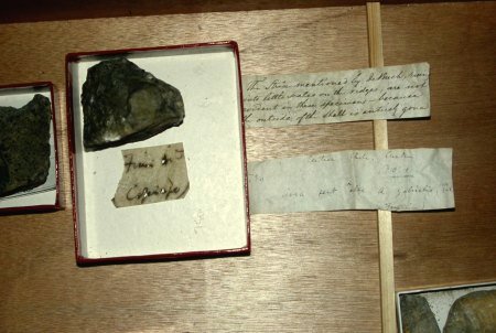 Darwincollectie