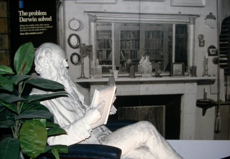 Zitbeeld van Darwin