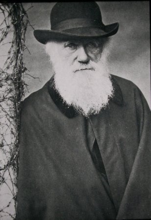 Darwin op hoge leeftijd