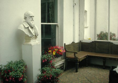 Downhouse achter