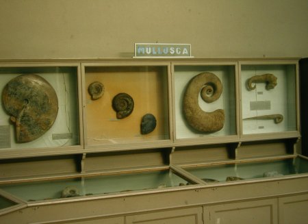 Museum Edinburgh