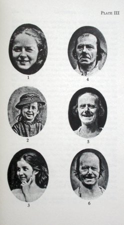 Vreugde