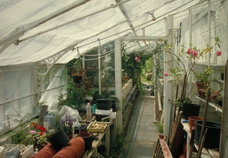 Greenhouse Darwin