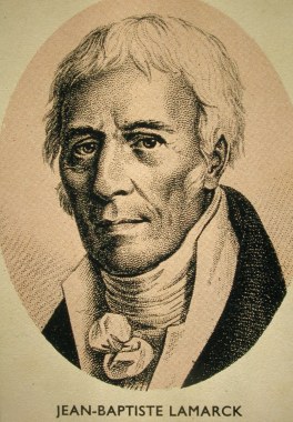 Lamarck