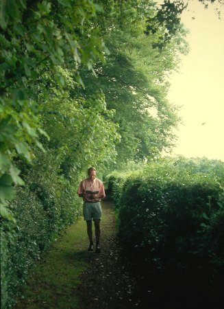 Sandwalk