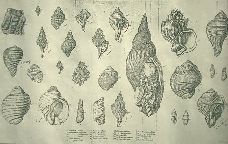 Darwincollectie
