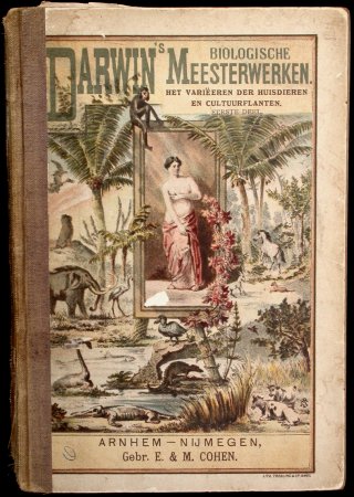 Variatieboek
