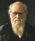 Darwin