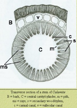 Help figure
