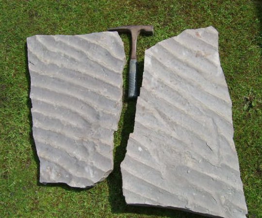 Ripple marks from SandyForth
