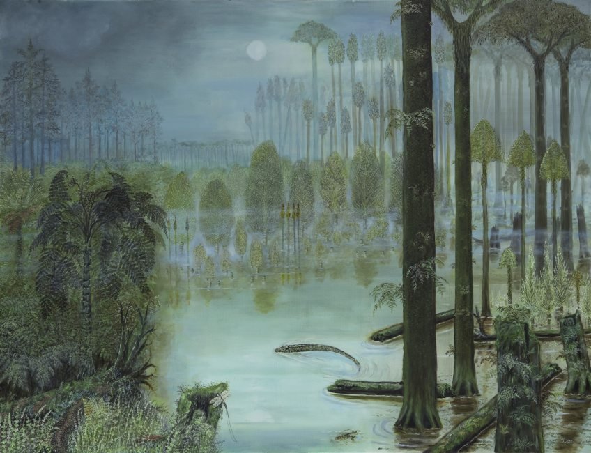 The coal swamp of Ibbenb�ren