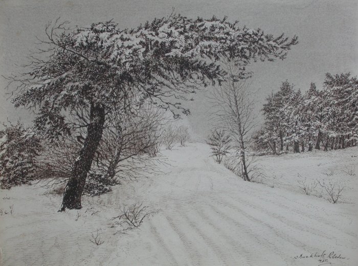Sneeuwlandschap bij Rheden
