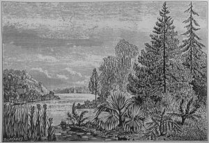 Reconstructie van het landschap
