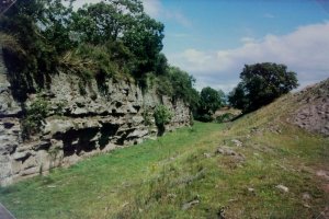 Oude groeve bij Forfar