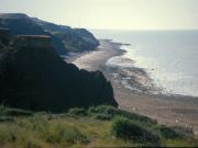 De kliffen van Sheppey