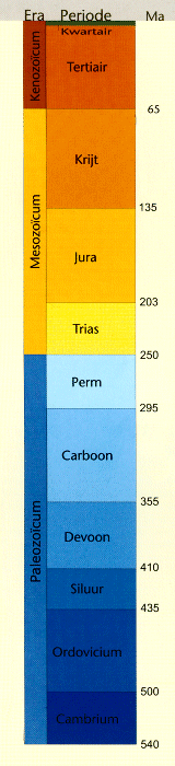 Tijdenschema