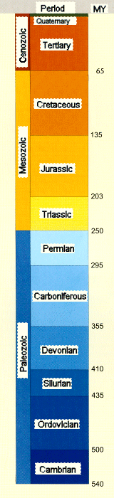 Timetable