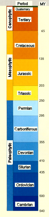 Timetable