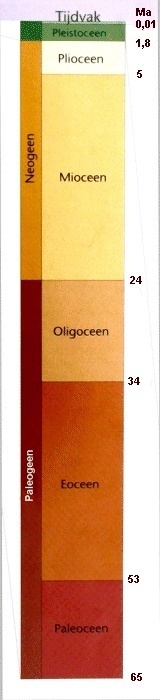 Tijdenschema Tertiair