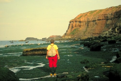 De kliffen bij Whitby