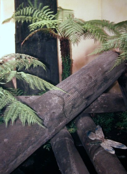 Bos met wolfsklauwbomen
