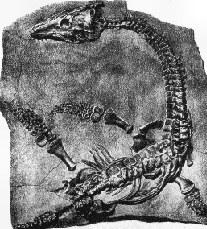 Plesiosaurus van Mary Anning