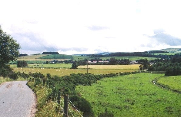 Rhynie 400 million years ago