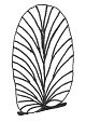 Neuropteris